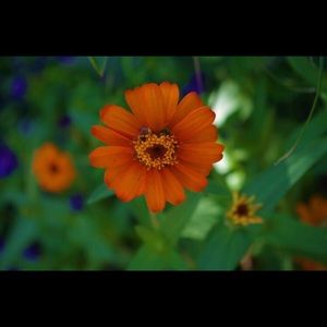 Meet your Posher, Catherine